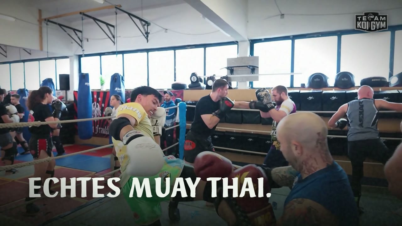 KOI GYM Video: Kostenloses Probetraining – echtes Muay Thai in Frankfurt